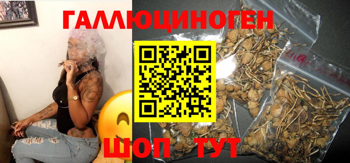 Галлюциногенные грибы MAGIC MUSHROOMS Зеленодольск